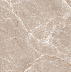 GẠCH ẤN ĐỘ 600X600 ESPRADA BROWN - G66006