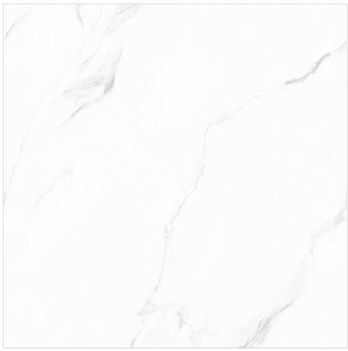 GẠCH ẤN ĐỘ 800X800 PLANTA STATURIO M88001