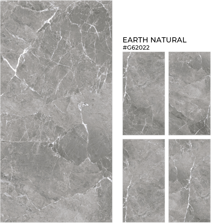 GẠCH ẤN ĐỘ 600X1200 EARTH NATURAL - G62022