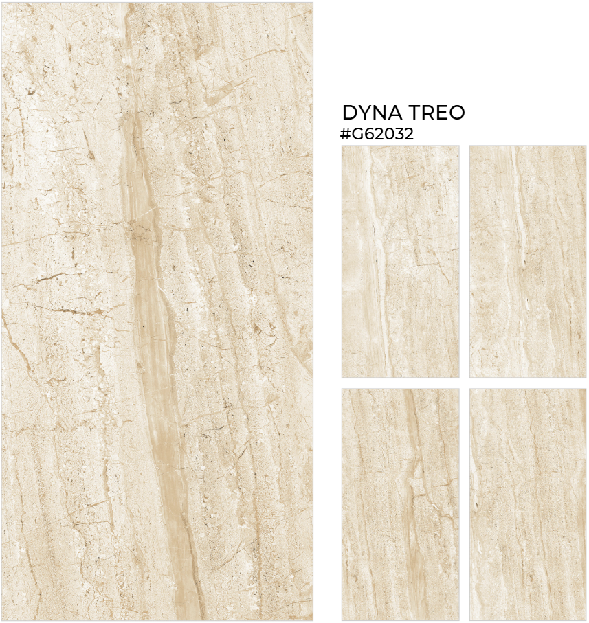 GẠCH ẤN ĐỘ 600X1200 DYNA TREO - G62032