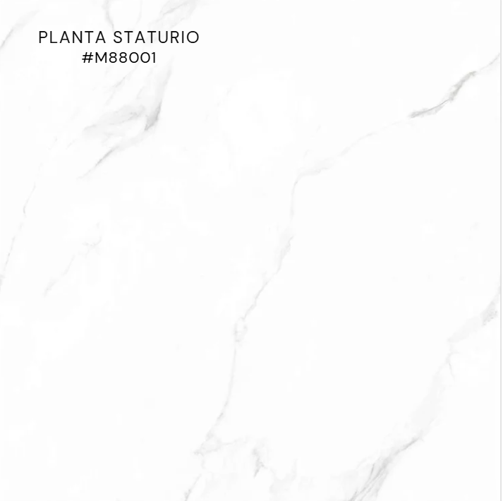 FTILES 800X800 PLANTA STATURIO M88001