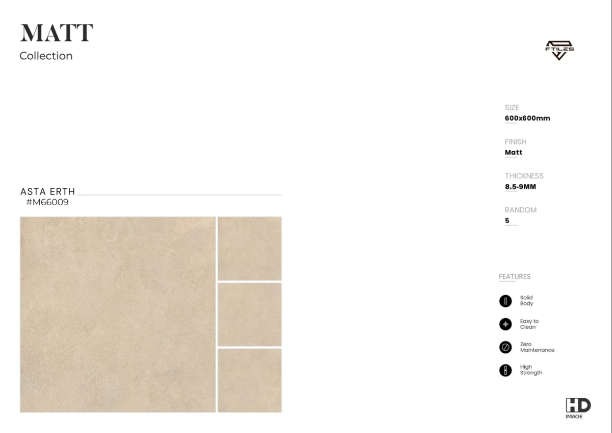 FTILES 600X600 ASTA ERTH M66009