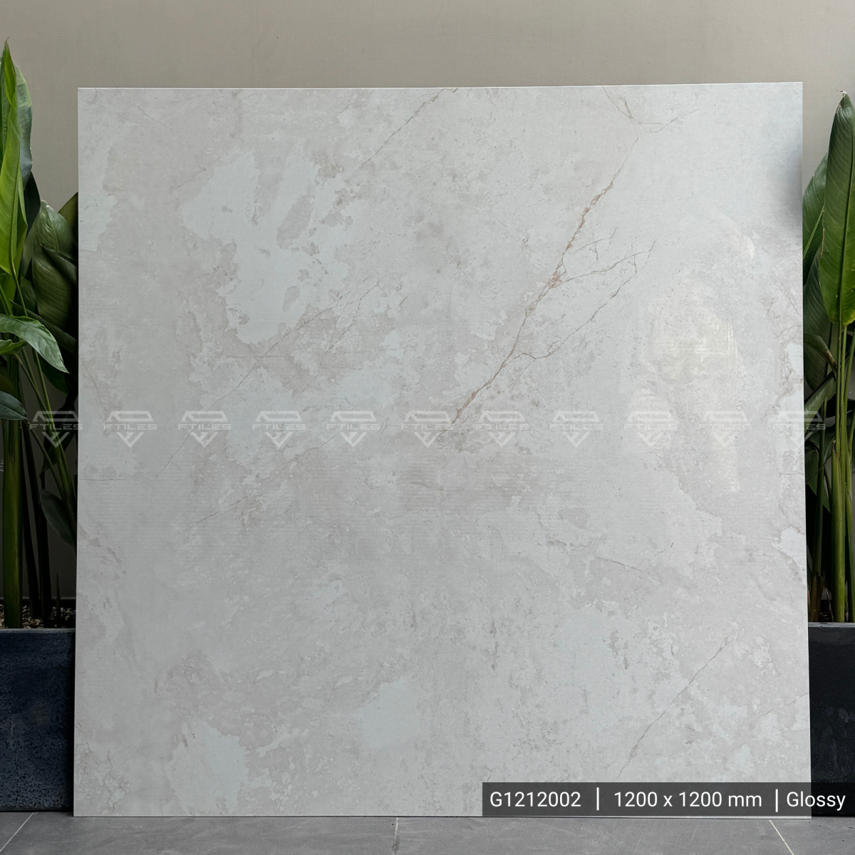 FTILES 1200X1200 PLGMENTO GREY G1212002