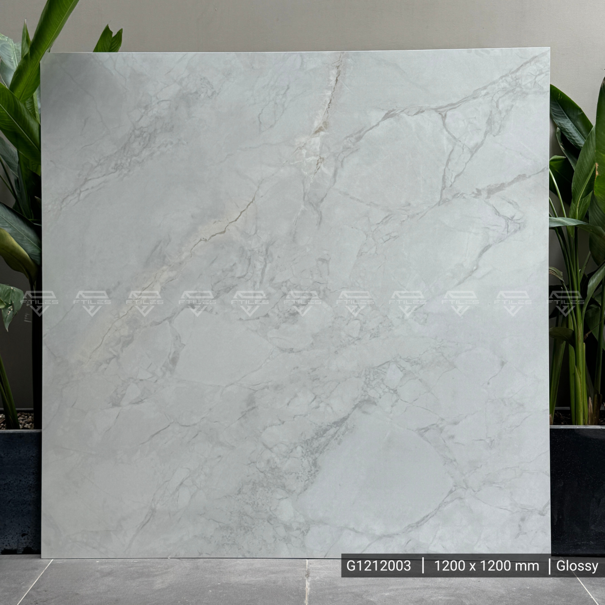 FTILES 1200X1200 IMPERIAL BEIGE G1212003