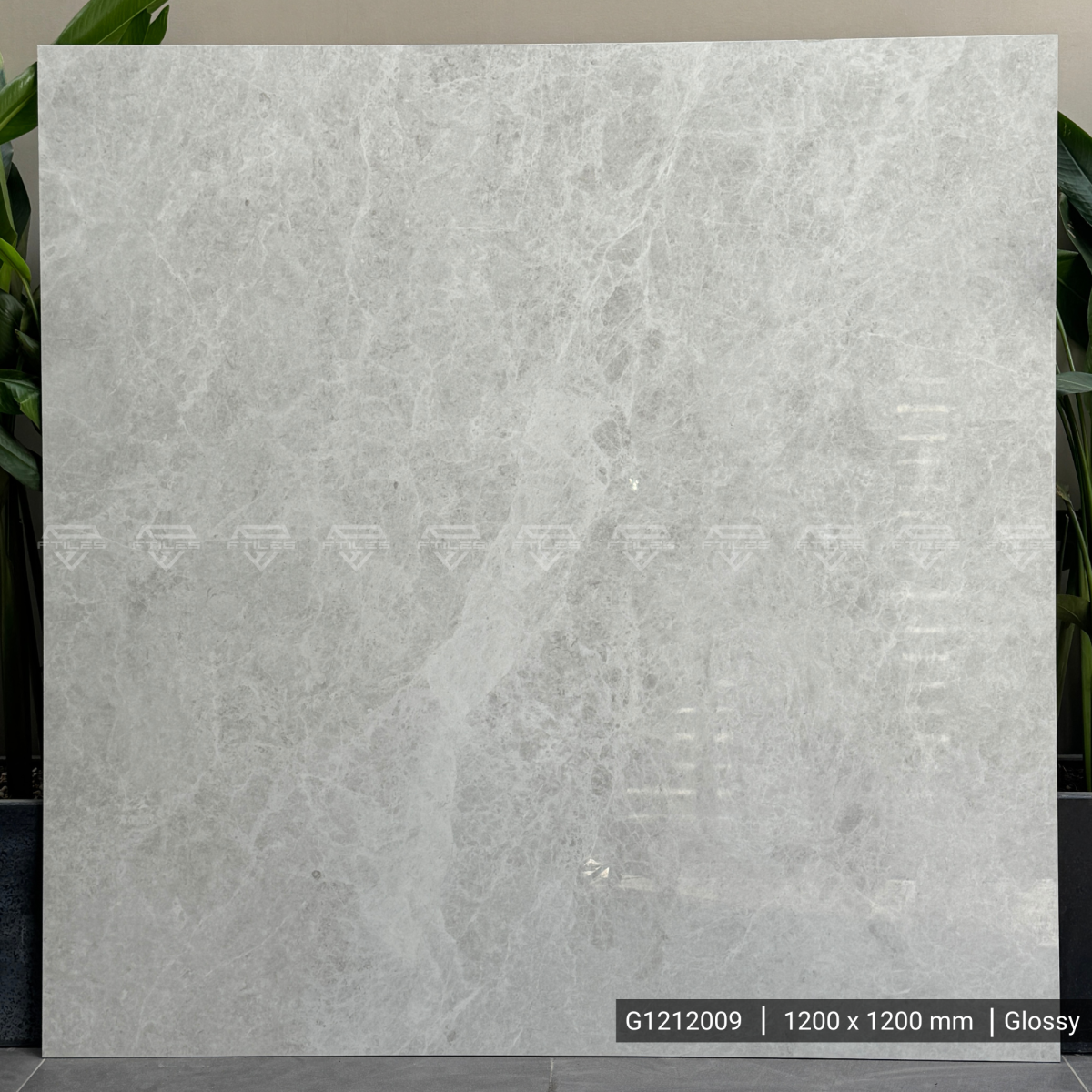 FTILES 1200X1200 Dove Light Grey G1212009