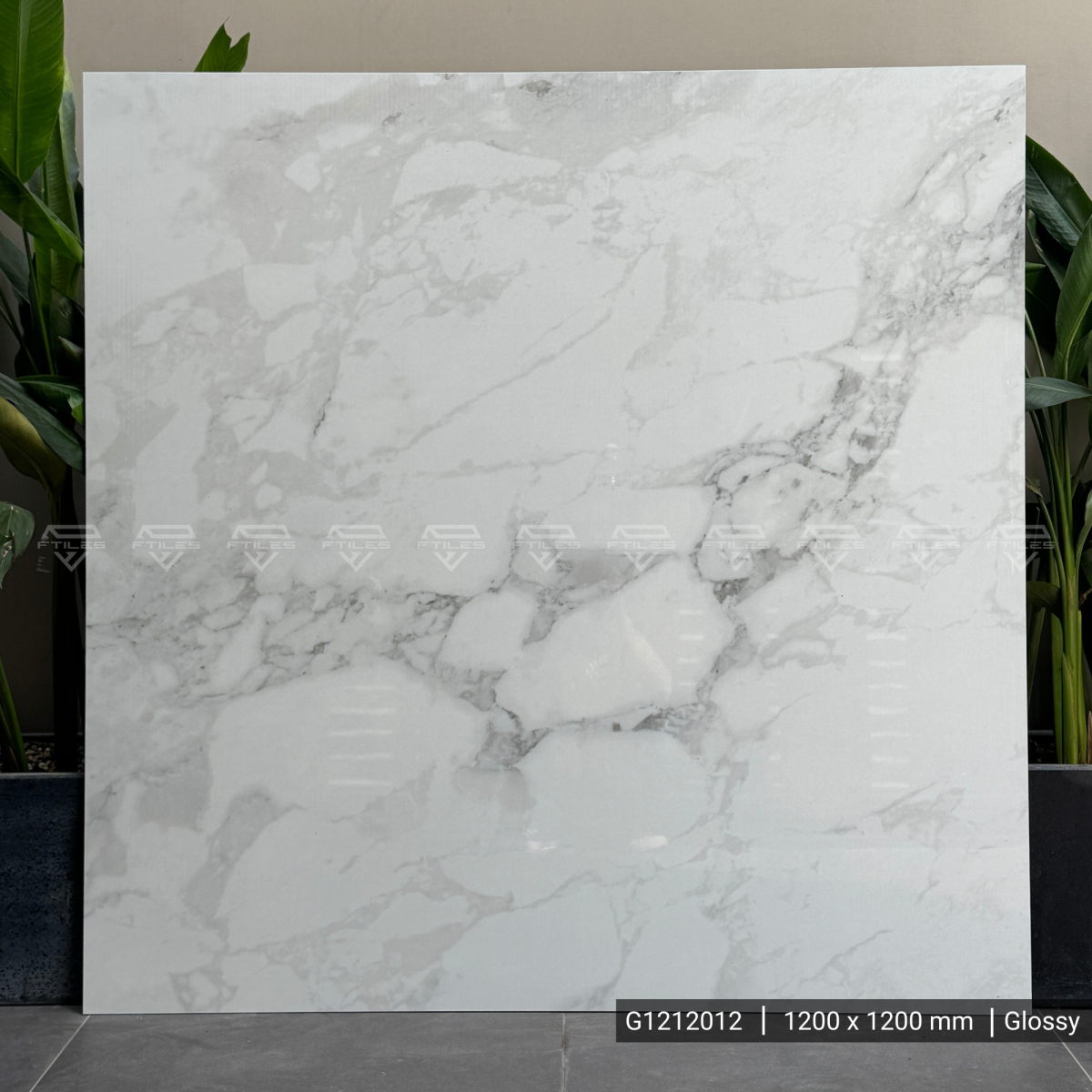 FTILES 1200X1200 CORCHIA WHITE G1212012