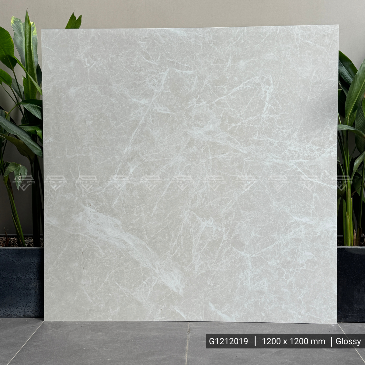 FTILES 1200X1200 HIMALAYA BEIGE G1212019