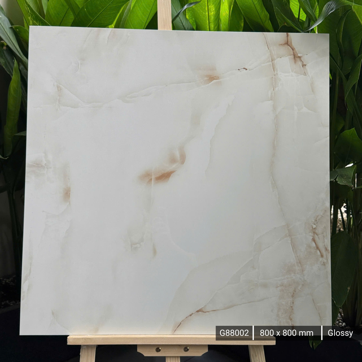 FTILES 800X800 ANTISKY G88002