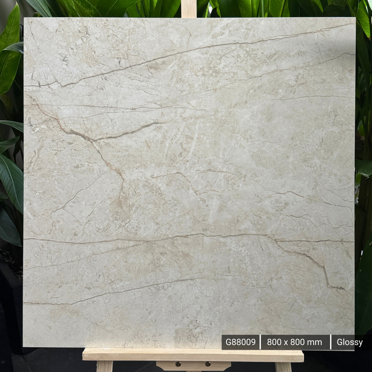 FTILES 800X800 ELEGANCE BEIGE G88009