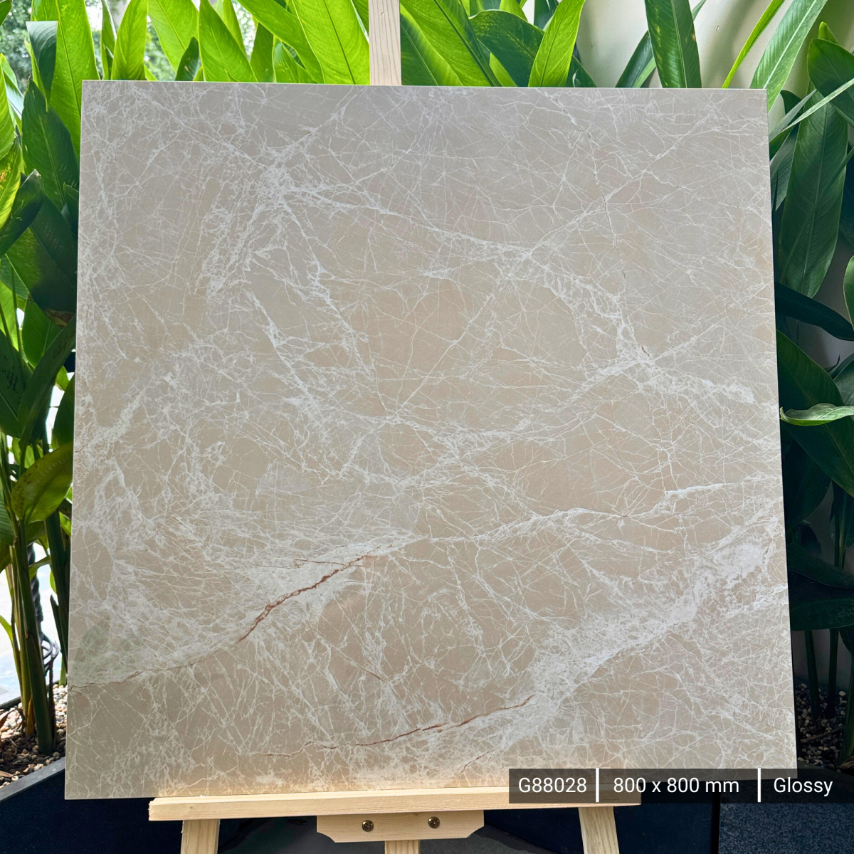 FTILES 800X800 SPREDA BROWN G88028