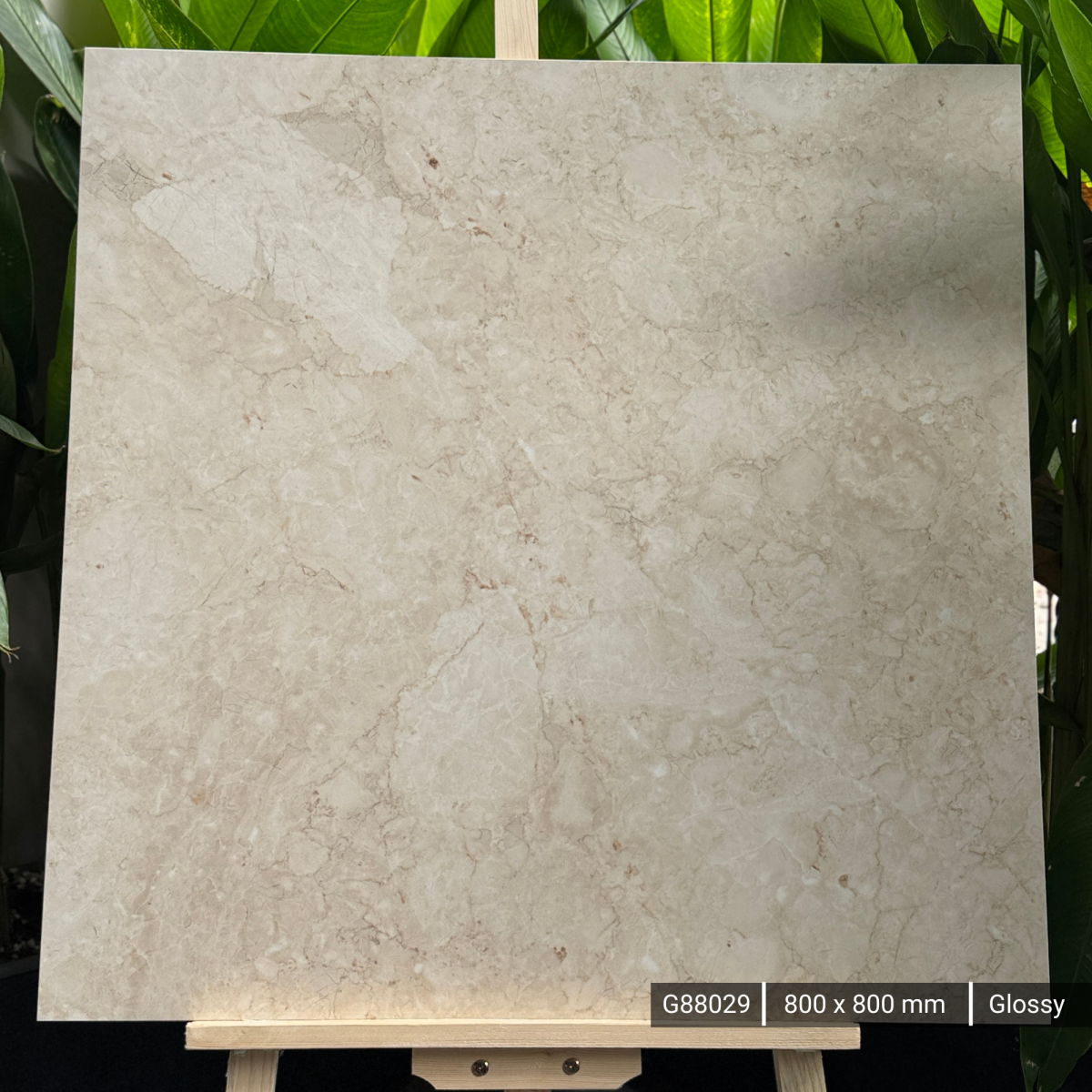 FTILES 800X800 SEGATE BEIGE  G88029