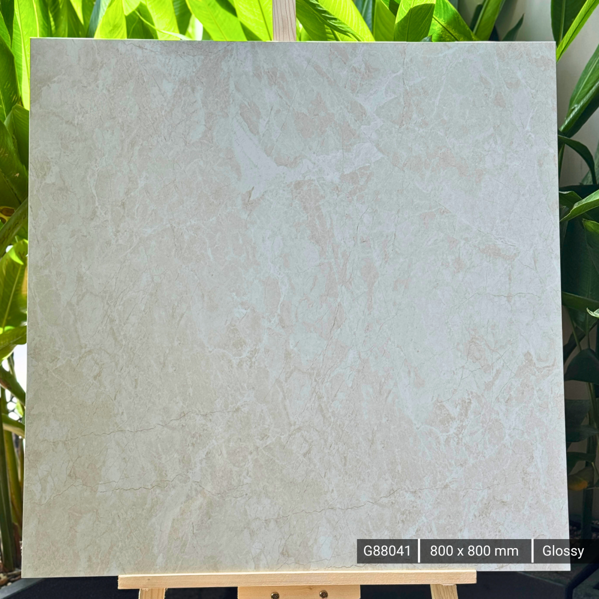 FTILES 800X800 PRISTINA BEIGE  G88041