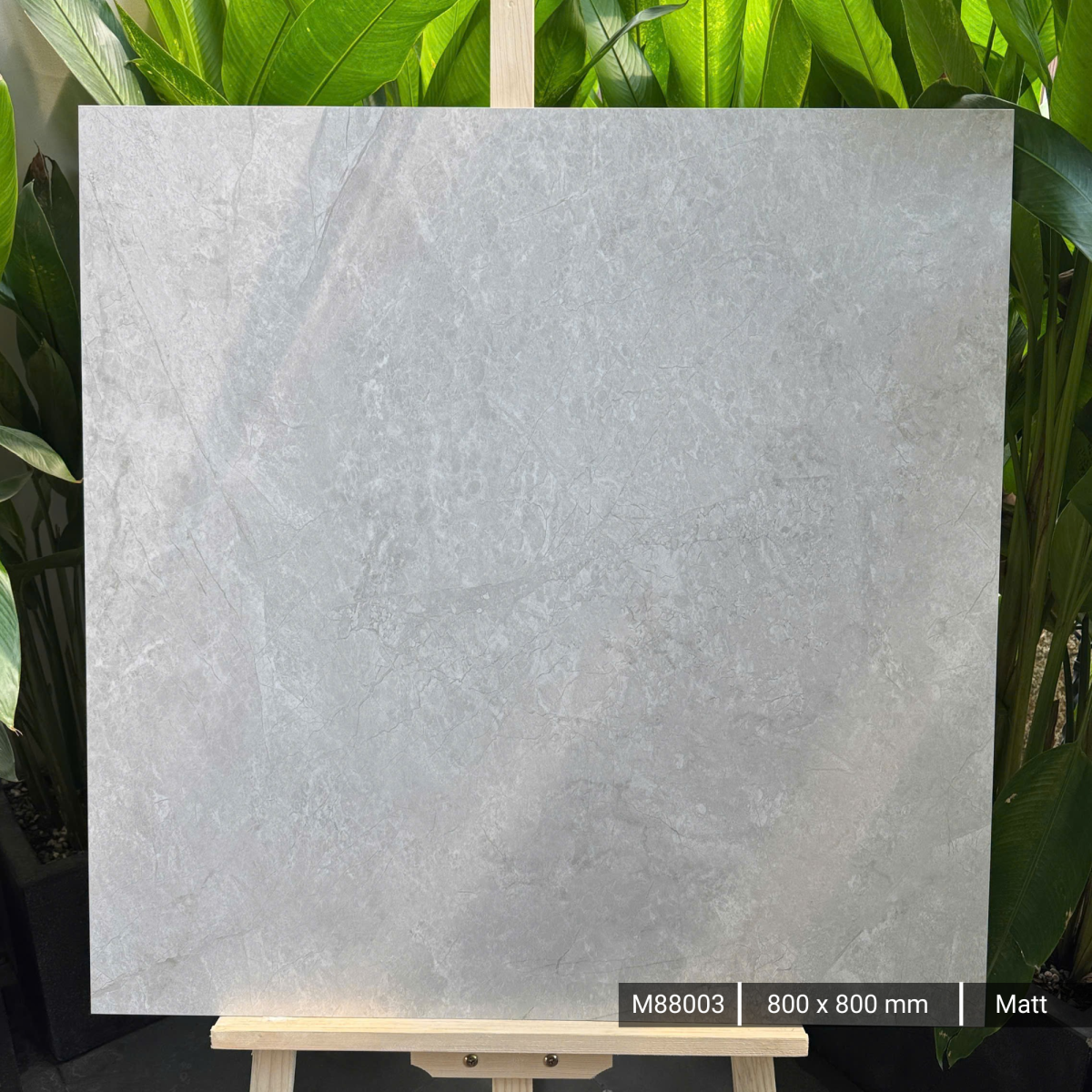 FTILES 800X800 INDICA GREY M88003