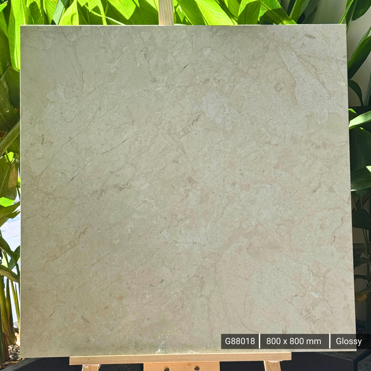 FTILES 800X800 SYDNEY CREMA G88018