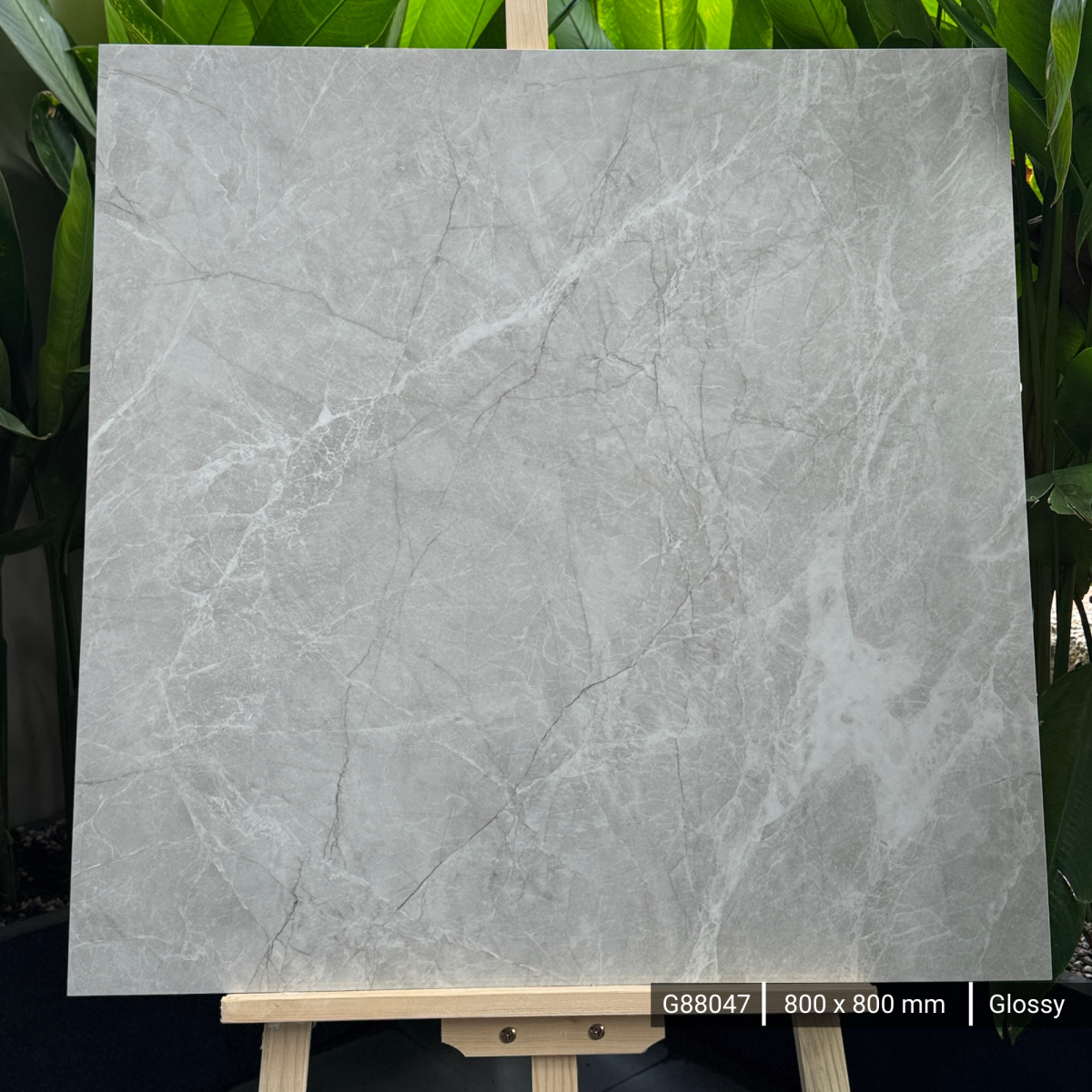 FTILES 800X800 STROME PINE G88047