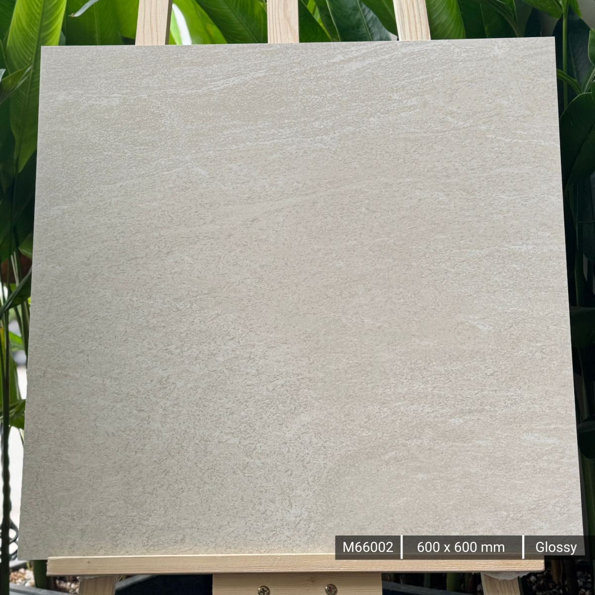 FTILES 600X600 NORTHSTONE IVORY M66002
