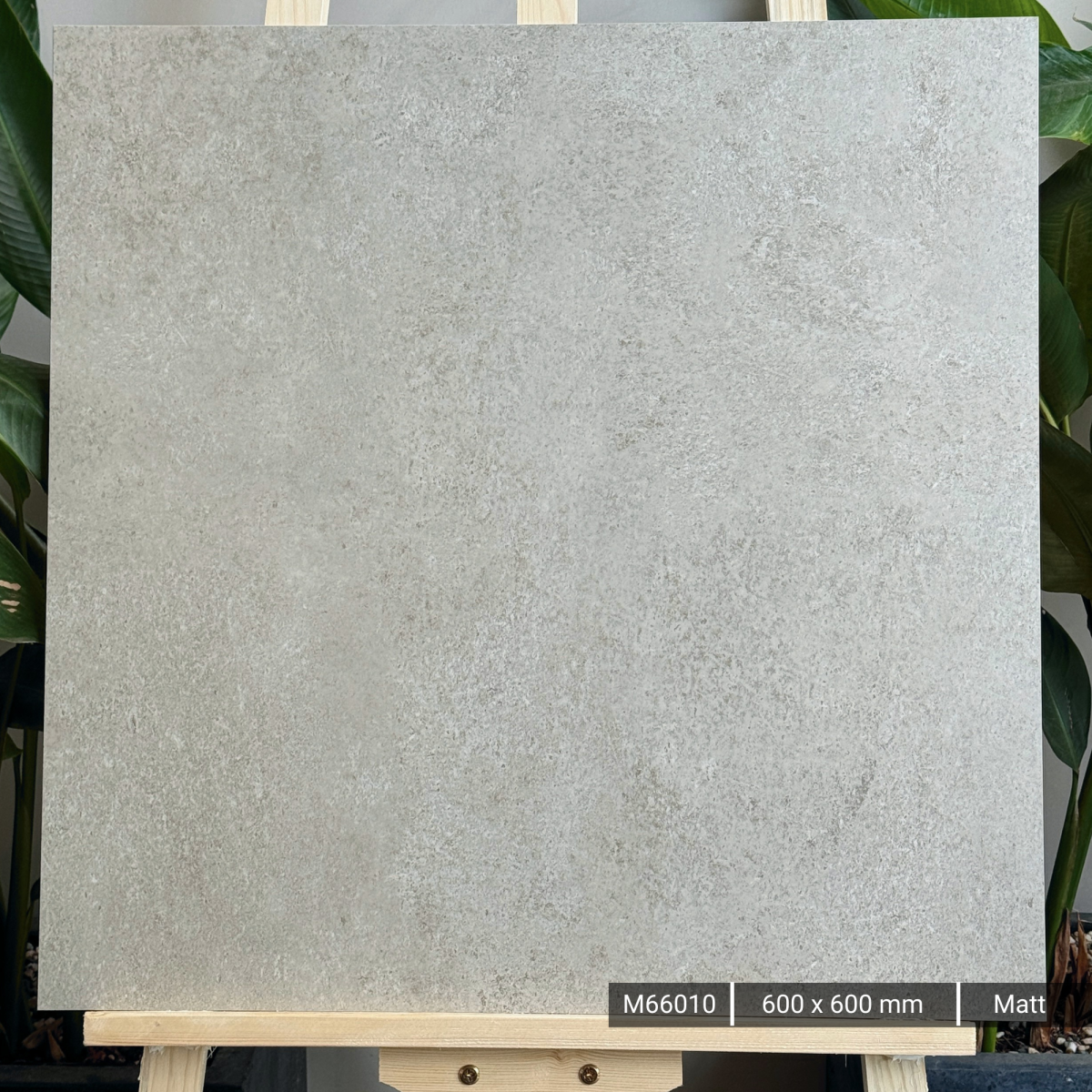 FTILES 600X600 ASTA BIANCO M66010