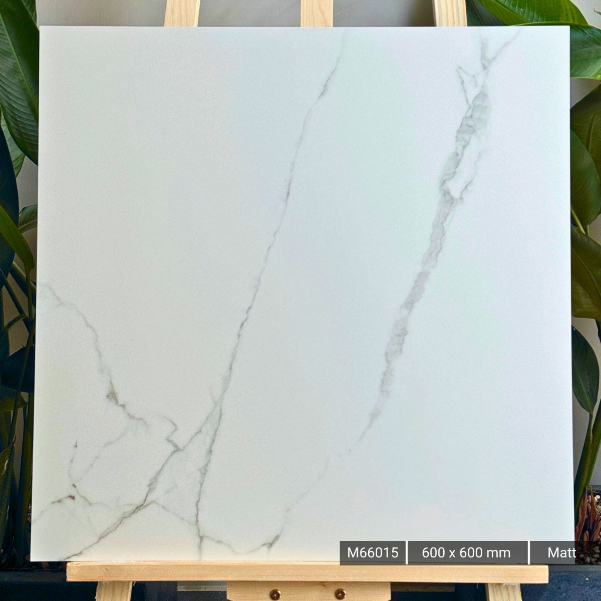 FTILES 600X600 ATLANTIC WHITE  M66015