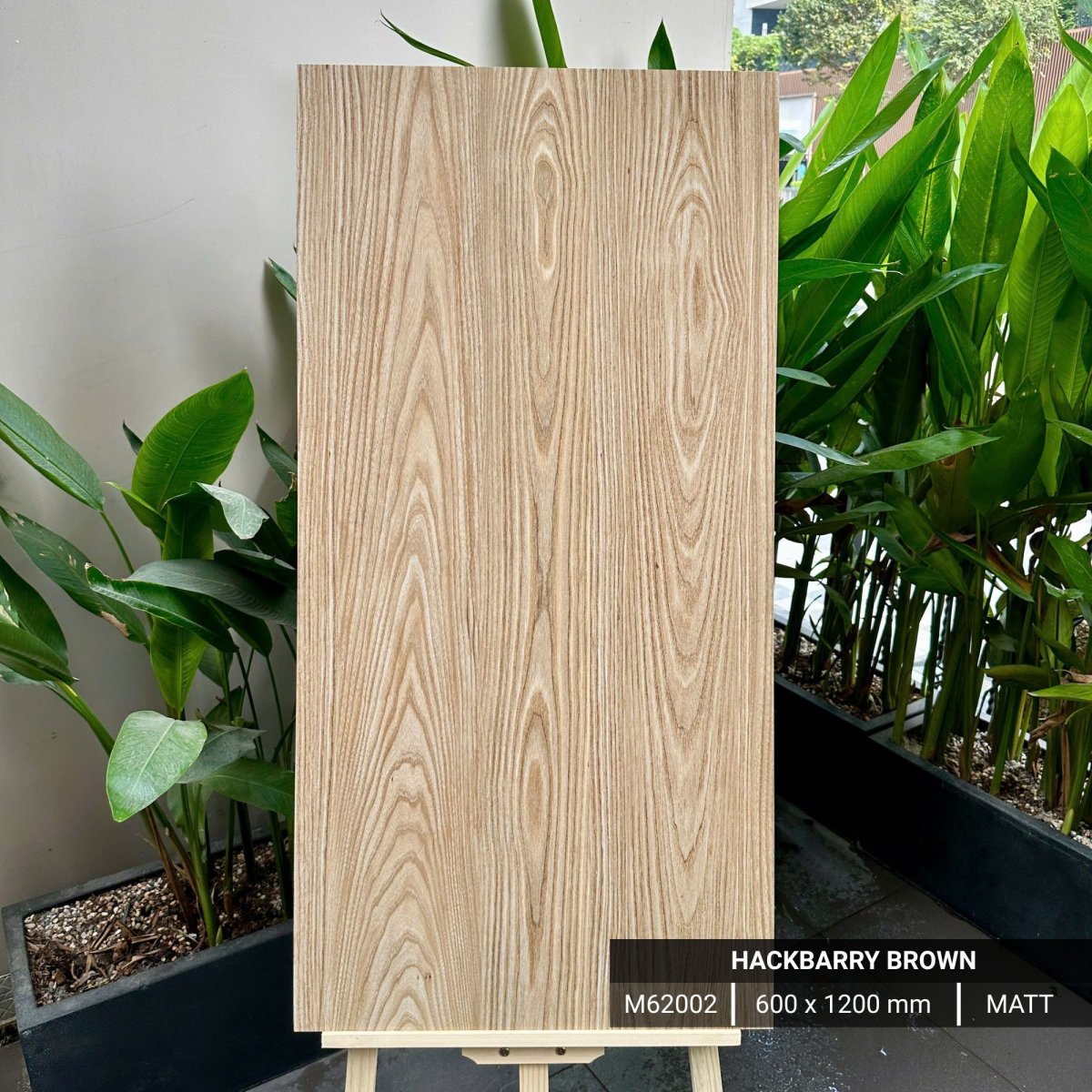 FTILES 600X1200 HACKBARRY BROWN M62002