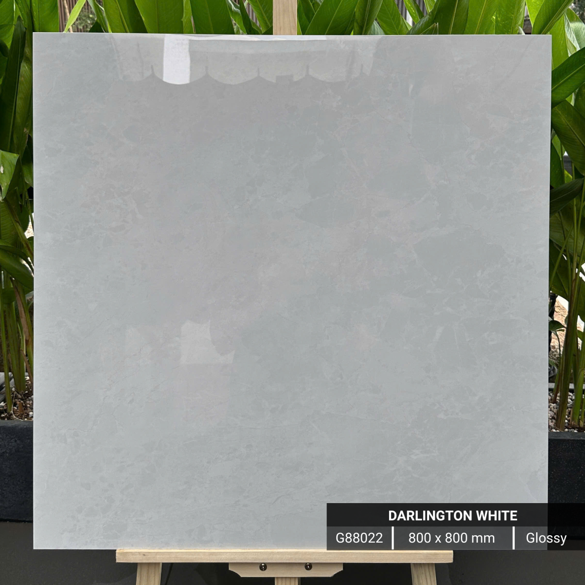 FTILES 800X800 DARLINGTON WHITE G88022